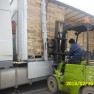 bracacore